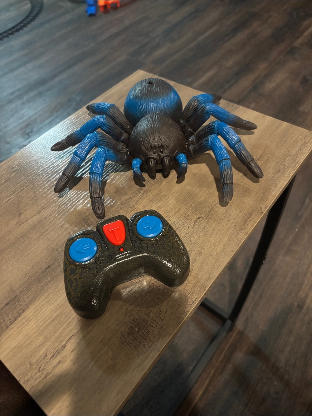 Remote Tarantula Spider - Picture 8 of 10